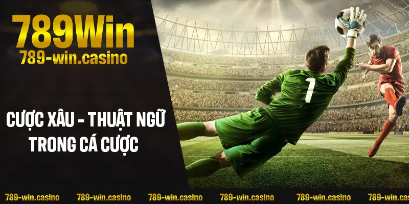 Cược xâu – thuật ngữ cần biết trong cá cược