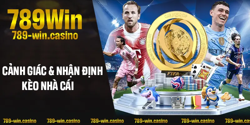 Cách nhận định kèo nhà cái chính xác và toàn diện