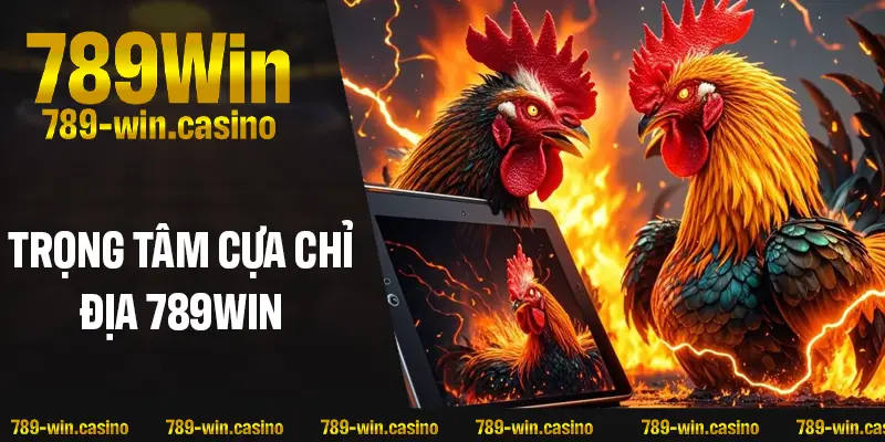 Nội dung trọng tâm về cựa Chỉ Địa