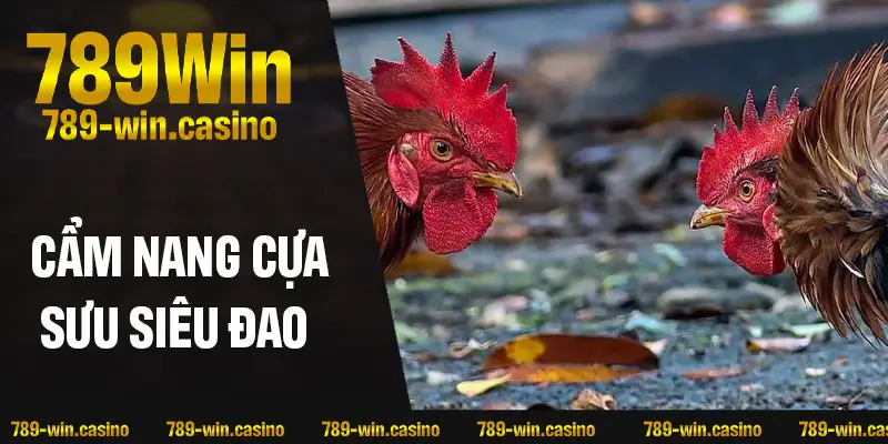 Giới thiệu tổng quan về cựa sưu siêu đao