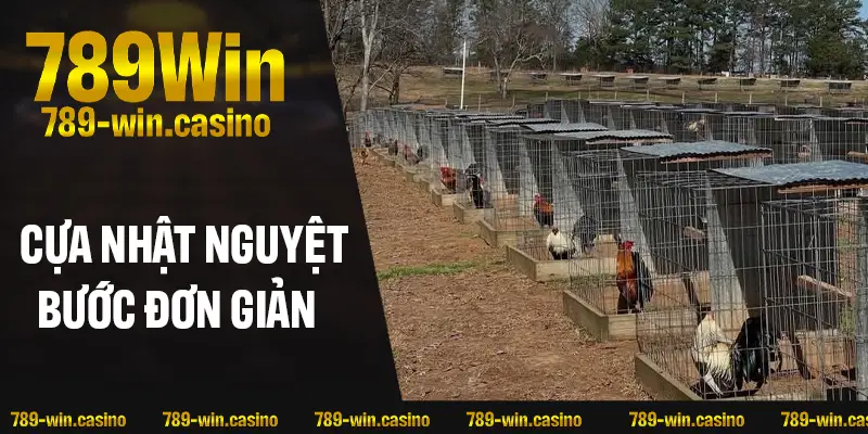 Nhận biết cựa Nhật Nguyệt chỉ trong vài bước đơn giản