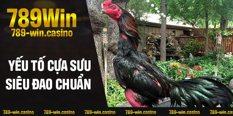 Yếu tố cần biết để chọn cựa sưu siêu đao chuẩn chất lượng